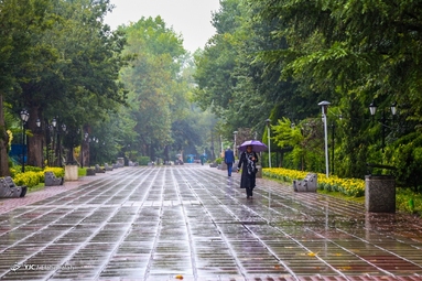 بارش باران تابستانی - رشت