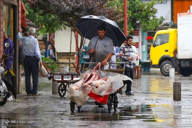 بارش باران تابستانی - رشت