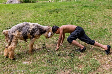 زمانی برای تفریح