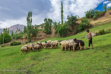زمانی برای تفریح