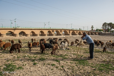 پل تاریخی «ورگان»  در شهرستان فلاورجان - اصفهان