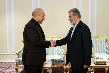 دیدار دبیرکل جنبش جهاد اسلامی فلسطین با رئیس مجلس