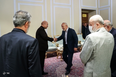 دیدار دبیرکل جنبش جهاد اسلامی فلسطین با رئیس مجلس