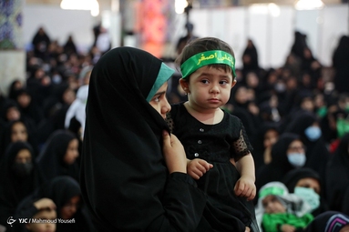 آیین شیرخوارگان حسینی -  یزد