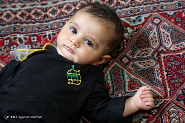 همایش شیرخوارگان حسینی - آستان امامزادگان سید جعفر و حمیده خاتون (ع)