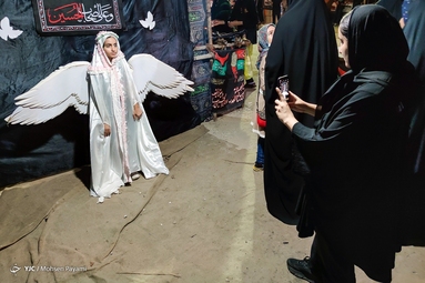 مواکب عزاداری حسینی - بوشهر
