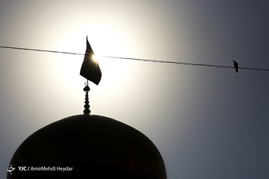 عزاداری سالروز شهادت امام رضا (ع) در حرم مطهر رضوی