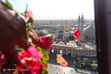 گلباران حرم حضرت حضرت معصومه (س)