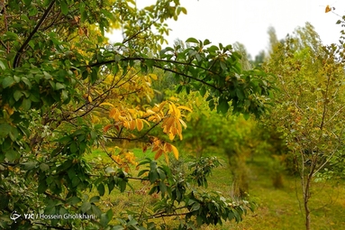 روستای «ارتش آباد» از توابع شهرستان آوج، استان قزوین