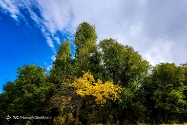 روستای «ارتش آباد» از توابع شهرستان آوج، استان قزوین