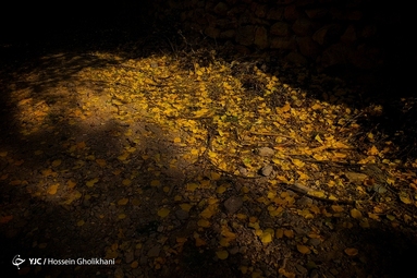 روستای «ارتش آباد» از توابع شهرستان آوج، استان قزوین