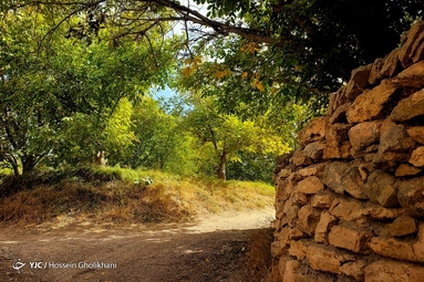 روستای «ارتش آباد» از توابع شهرستان آوج، استان قزوین