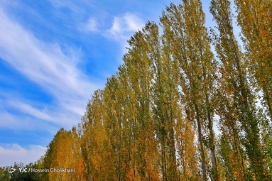 روستای «ارتش آباد» از توابع شهرستان آوج، استان قزوین
