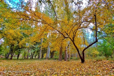 روستای «ارتش آباد» از توابع شهرستان آوج، استان قزوین