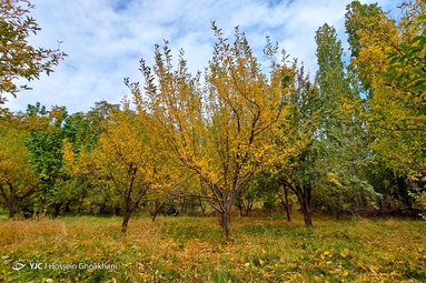 روستای «ارتش آباد» از توابع شهرستان آوج، استان قزوین