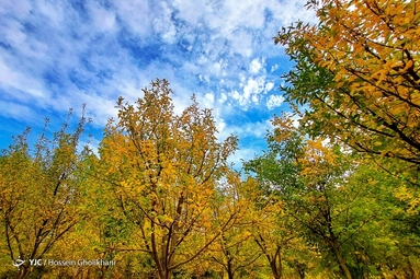 روستای «ارتش آباد» از توابع شهرستان آوج، استان قزوین