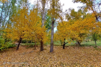 روستای «ارتش آباد» از توابع شهرستان آوج، استان قزوین
