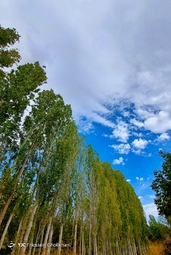 روستای «ارتش آباد» از توابع شهرستان آوج، استان قزوین