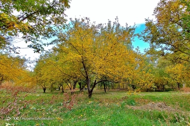 روستای «ارتش آباد» از توابع شهرستان آوج، استان قزوین