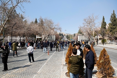 دانشگاه شیراز 