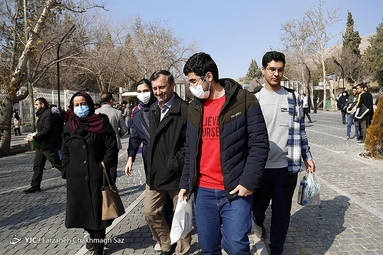 دانشگاه شیراز