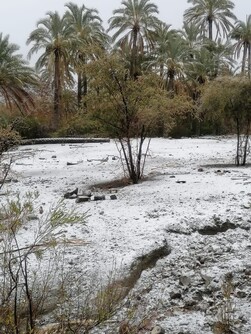 برف در جنوب