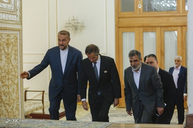 دیدار مدیرکل آژانس انرژی اتمی با حسین امیرعبداللهیان