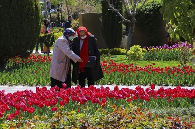جشنواره لاله‌های کرج