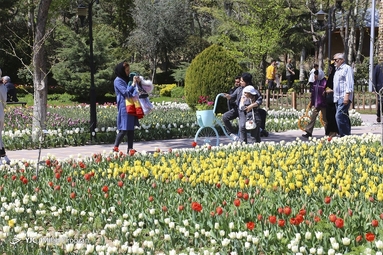 جشنواره لاله‌های کرج