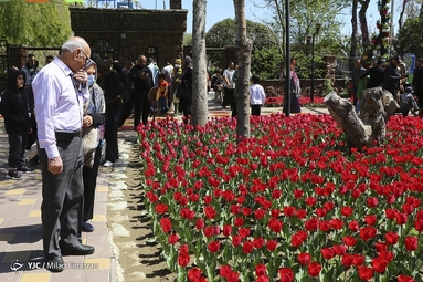 جشنواره لاله‌های کرج
