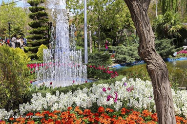 جشنواره لاله‌های کرج