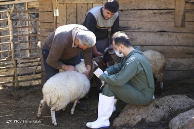 اردوی جهادی دامپزشکی در ماسال گیلان