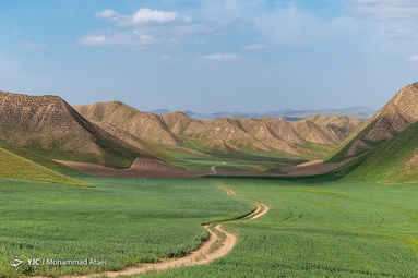 طبیعت سبز و زیبای منطقه ترکمن صحرا در بهار ۱۴۰۱