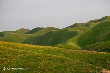 طبیعت سبز و زیبای منطقه ترکمن صحرا در بهار ۱۴۰۱