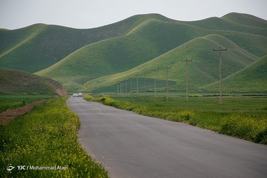 طبیعت سبز و زیبای منطقه ترکمن صحرا در بهار ۱۴۰۱