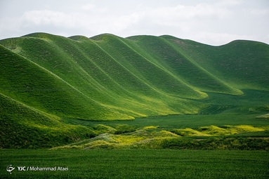طبیعت سبز و زیبای منطقه ترکمن صحرا در بهار ۱۴۰۱