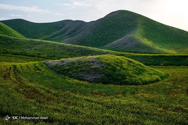 طبیعت سبز و زیبای منطقه ترکمن صحرا در بهار ۱۴۰۱