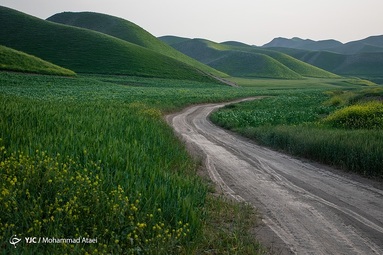 طبیعت سبز و زیبای منطقه ترکمن صحرا در بهار ۱۴۰۱