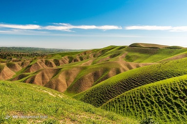طبیعت سبز و زیبای منطقه ترکمن صحرا در بهار ۱۴۰۱