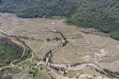 خشکسالی بهاری در مازندران