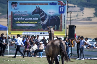 هفدهمین جشنواره ملی زیبایی اسب اصیل ترکمن
