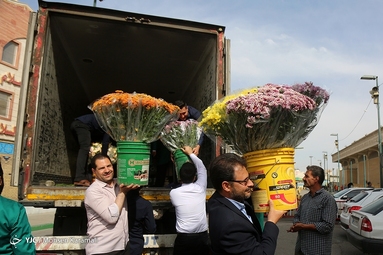 گل آرایی ضریح مطهر حضرت معصومه (س)