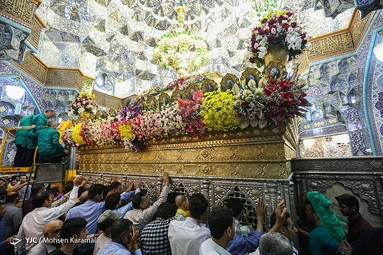 گل آرایی ضریح مطهر حضرت معصومه (س)