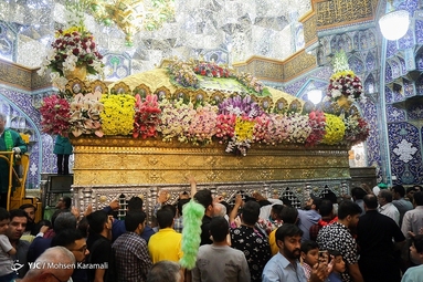 گل آرایی ضریح مطهر حضرت معصومه (س)