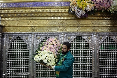 گل آرایی ضریح مطهر حضرت معصومه (س)