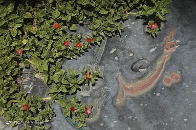 به مناسبت گرامیداشت سالروز آزادسازی خرمشهر