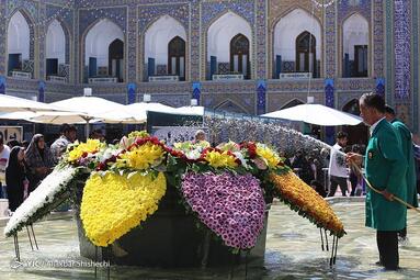 گلباران حرم مطهر رضوی در شب میلاد امام مهربانی‌ها