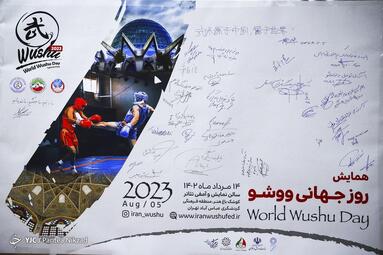 همایش روز جهانی ووشو