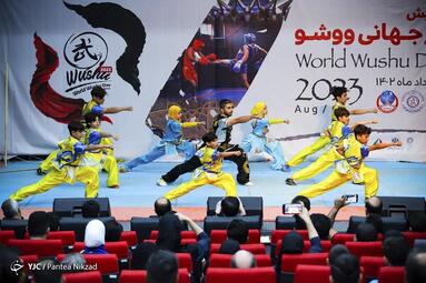 همایش روز جهانی ووشو
