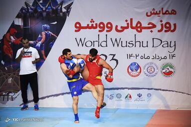 همایش روز جهانی ووشو